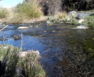 Agua de Sierra Nevada en Abla